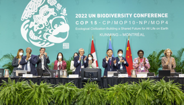 Cover image for article: BioAgora welcomes the signing of a historic biodiversity agreement at COP15