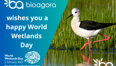 Cover image for article: BioAgora celebrates World Wetlands Day 2023!