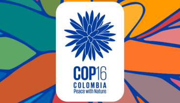 Cover image for article: BioAgora to co-host side events at the 2024 United Nations Conference for Biodiversity (COP16)