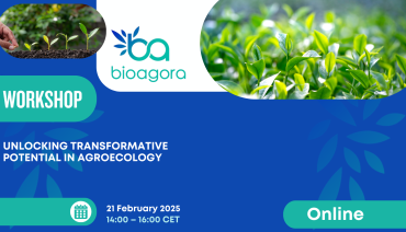 Cover image for article: Exploring transformative change in agroecology: Key takeaways from BioAgora’s interactive online workshop