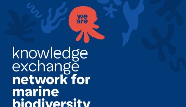 Cover image for article: Marine Biodiversity Cluster Event 2025: Advancing science-policy collaboration for ocean conservation