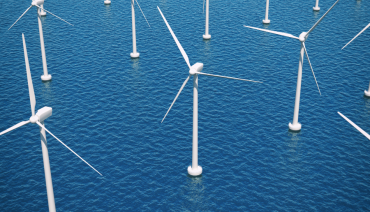 Cover image for article: Expert workshop by Eklipse on offshore wind farm expansion and marine environmental impact