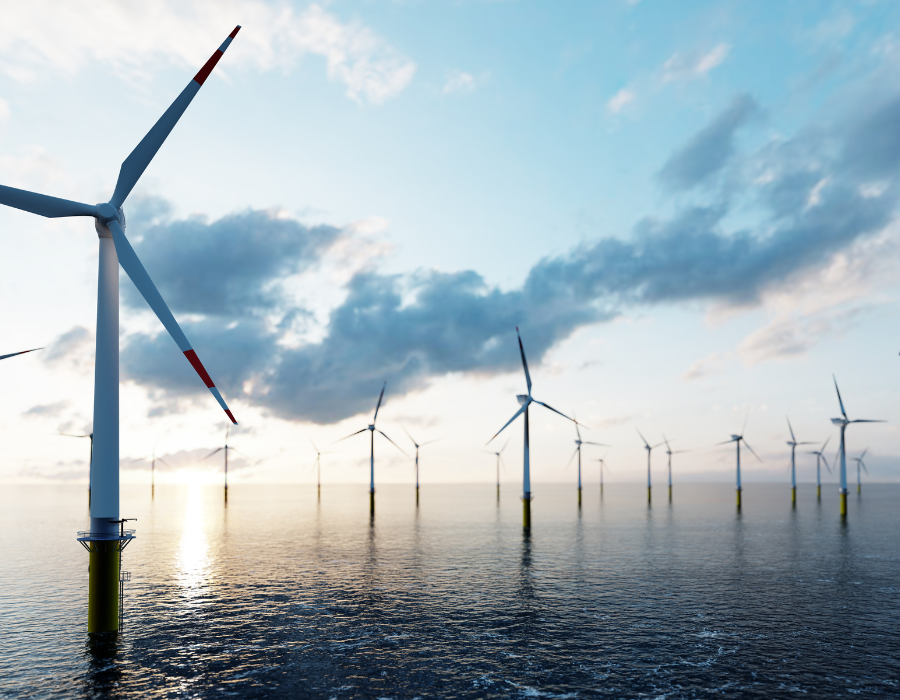 Featured image for The expansion of offshore wind farming: New report on knowledge request to the Science Service for Biodiversity now available
