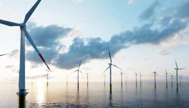 Cover image for article: The expansion of offshore wind farming: New report on knowledge request to the Science Service for Biodiversity now available