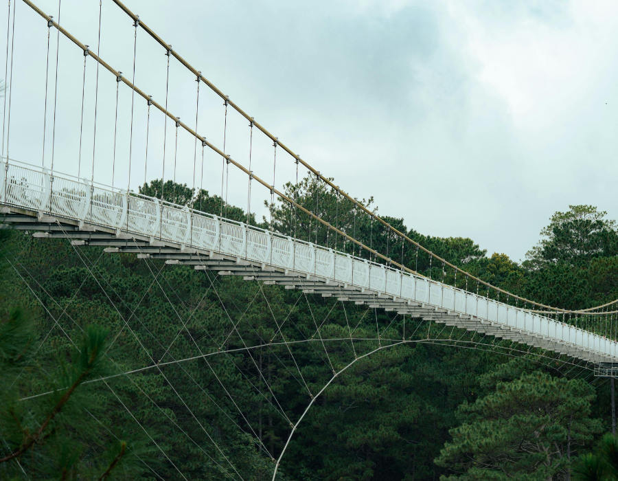 Featured image for Bridging Minds: Transforming biodiversity decision-making through learning and play