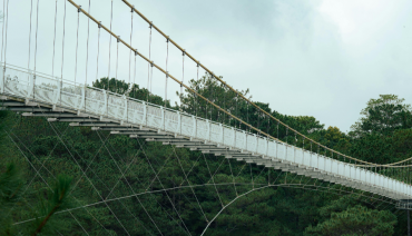 Cover image for article: Bridging Minds: Transforming biodiversity decision-making through learning and play