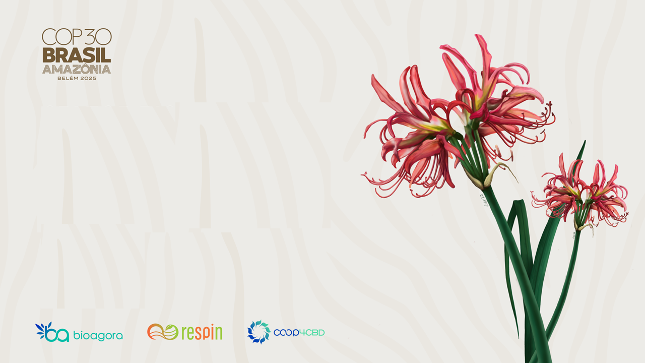 Featured image for BioAgora Co-organises a Side Event at UNFCCC COP30: Strengthening the Science-Policy Interface for Biodiversity and Climate