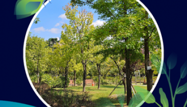 Cover image for article: New Handbook and Tool Recommender Support Europe’s Cities in Planning and Monitoring Urban Greening Strategies