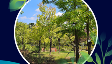 Cover image for article: New Handbook and Tool Recommender Support Europe’s Cities in Planning and Monitoring Urban Greening Strategies