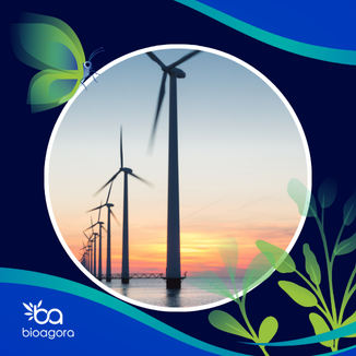 Cover image for publication: Evidence report on the impacts of offshore wind farm expansion