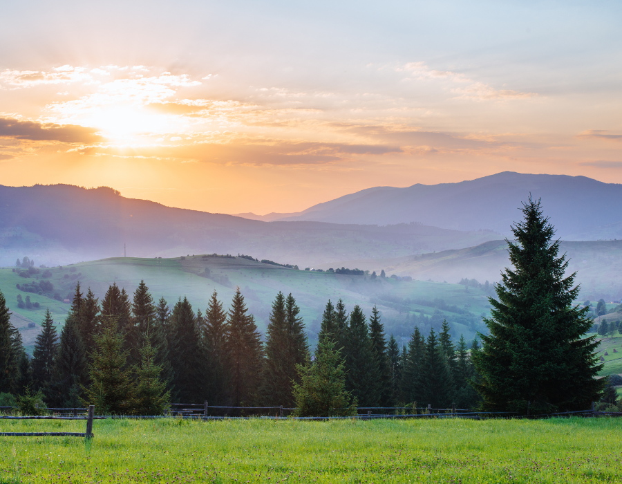 Featured image for BioAgora releases highlights video for 2025