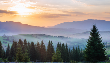 Cover image for article: BioAgora releases highlights video for 2025