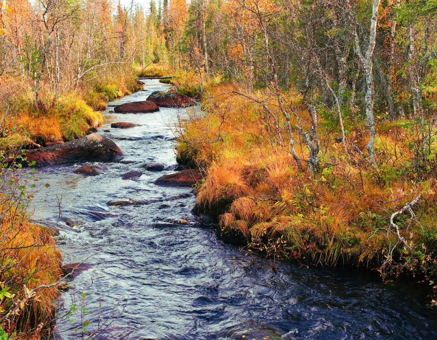 Featured image for Call for nominating members of the Methods Expert Group by BioAgora partner Eklipse