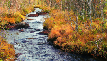 Cover image for article: Call for nominating members of the Methods Expert Group by BioAgora partner Eklipse