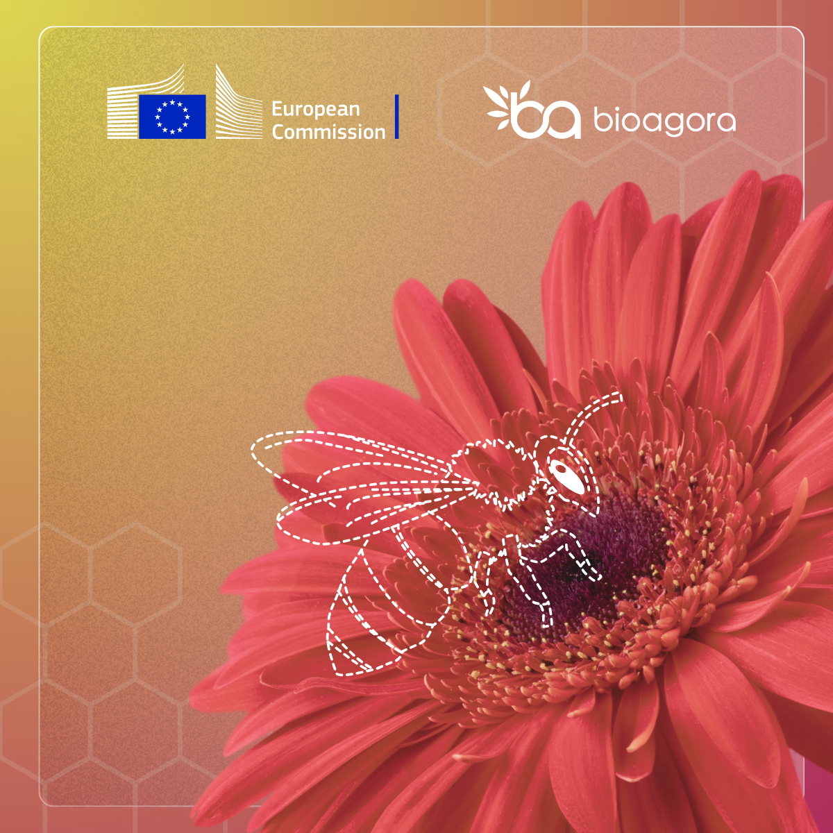 Featured image for New workshop report outlines pathways for restoring pollinator connectivity across Europe