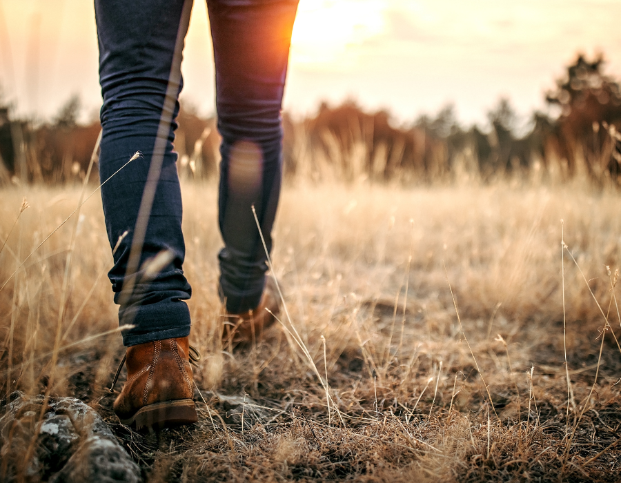 Featured image for BioAgora Call for Experts to support the development of the EU Long-term Biodiversity Research Agenda