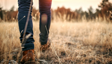 Cover image for article: BioAgora Call for Experts to support the development of the EU Long-term Biodiversity Research Agenda