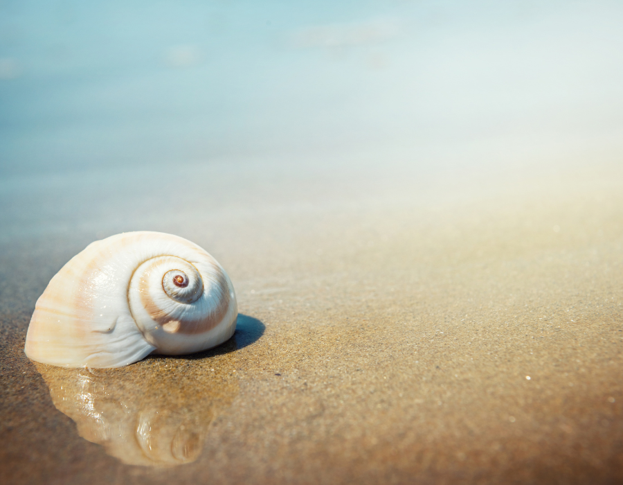 Featured image for Eklipse launches call for review on knowledge request submitted to the Science Service for Biodiversity