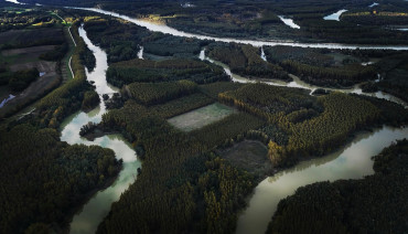 Cover image for The Science Service for Biodiversity Featured in the Horizon Europe 2026 Work Programme - Here’s How to Engage