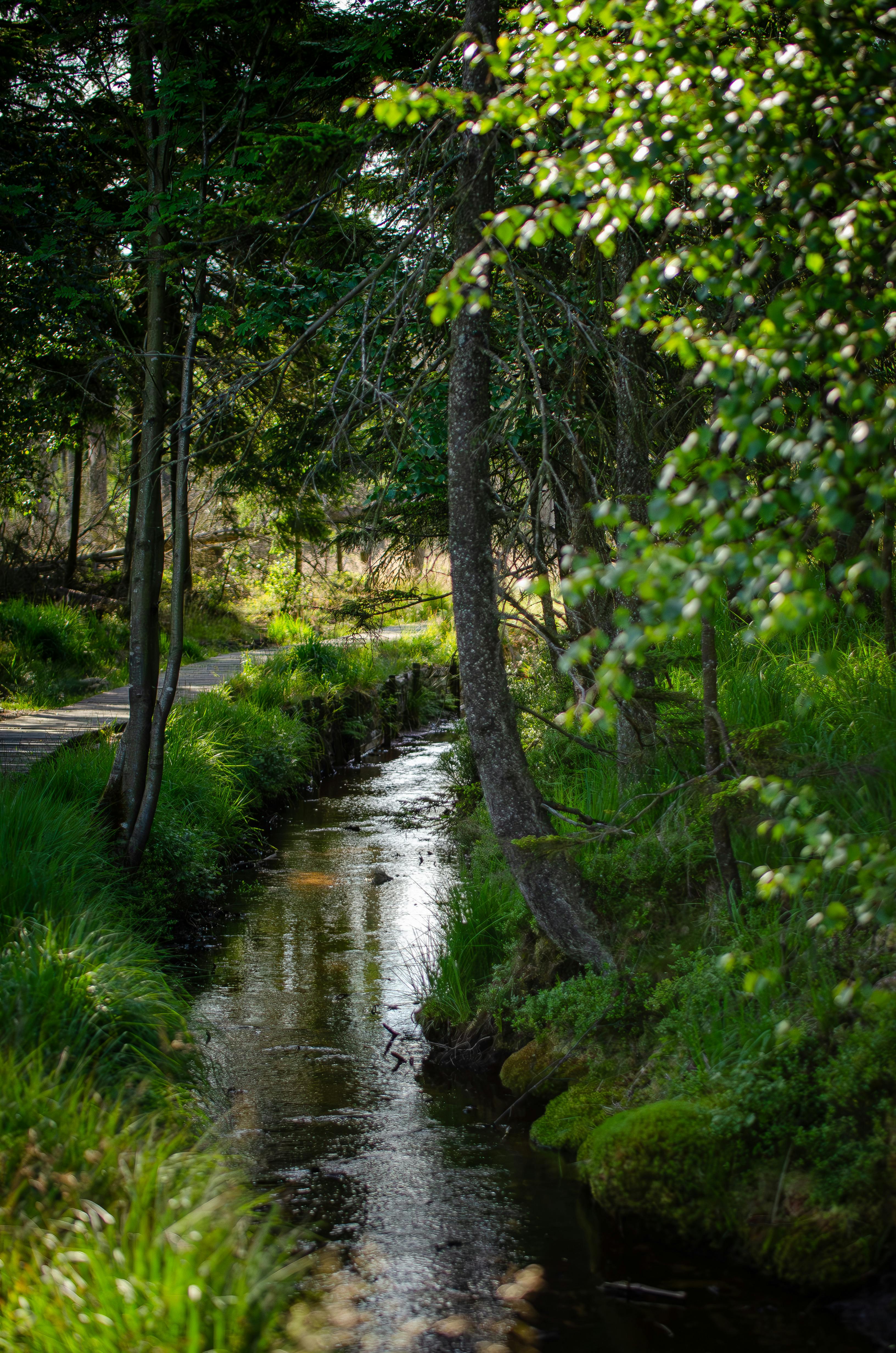 Image representing Methods Knowledge Exchange Network