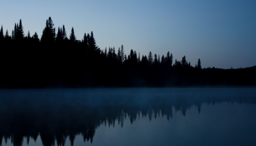 Cover image for article: Life after dark: The night shift of nature discussed in paper co-authored by BioAgora