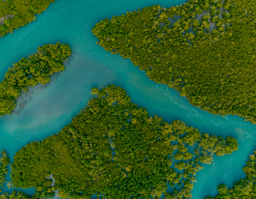 Featured image for New paper co-authored by BioAgora rethinks river restoration in Europe