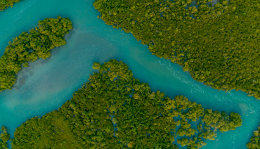 Cover image for article: New paper co-authored by BioAgora rethinks river restoration in Europe