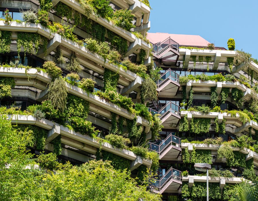 Featured image for Report on green roofs and walls facilitated by BioAgora highlighted by Grist media outlet