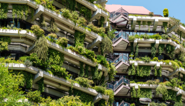 Cover image for article: Report on green roofs and walls facilitated by BioAgora highlighted by Grist media outlet
