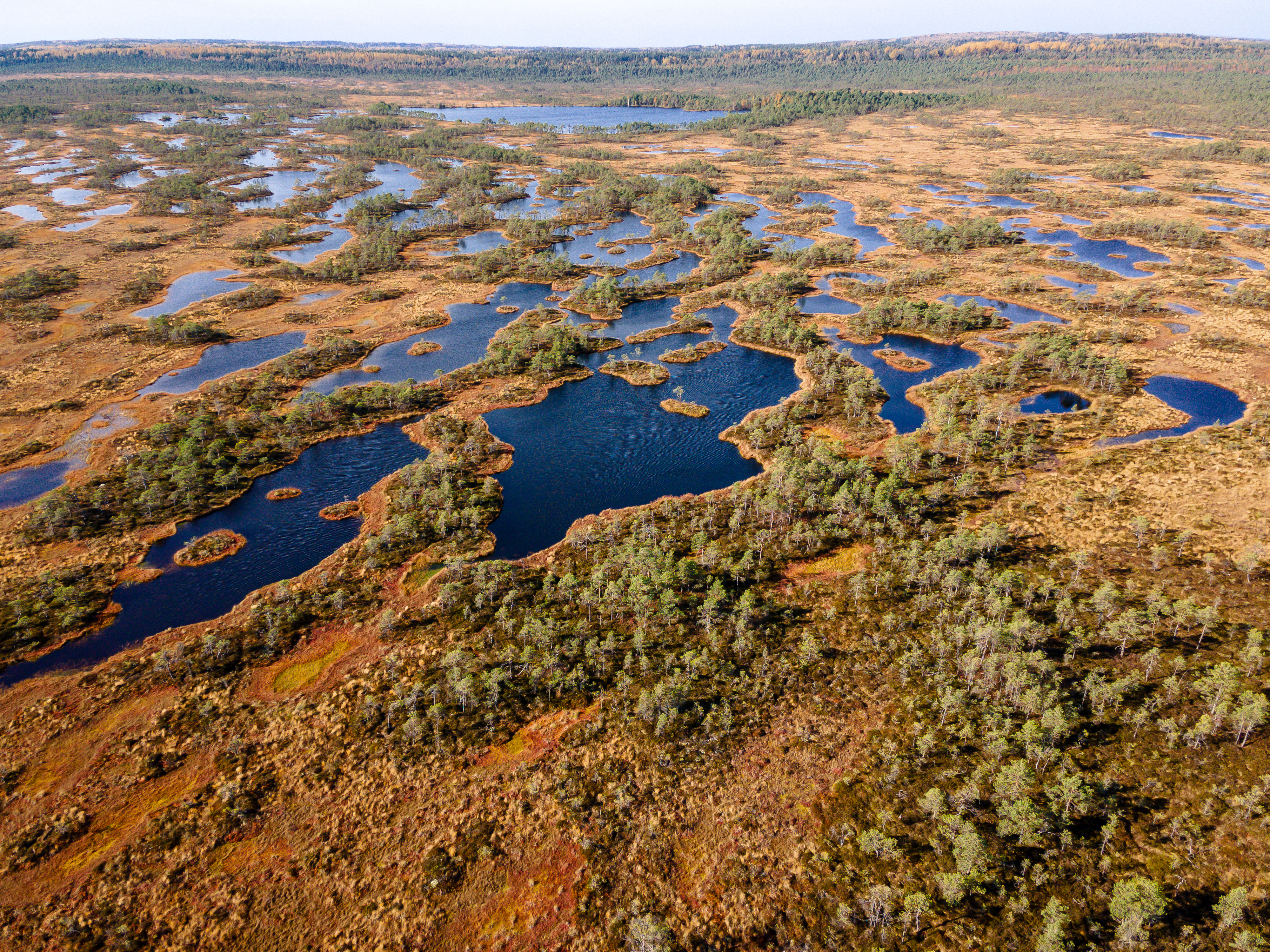 Featured image for New knowledge synthesis supports the restoration of Europe’s peatlands and coastal lagoons