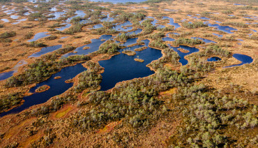 Cover image for article: New knowledge synthesis supports the restoration of Europe’s peatlands and coastal lagoons