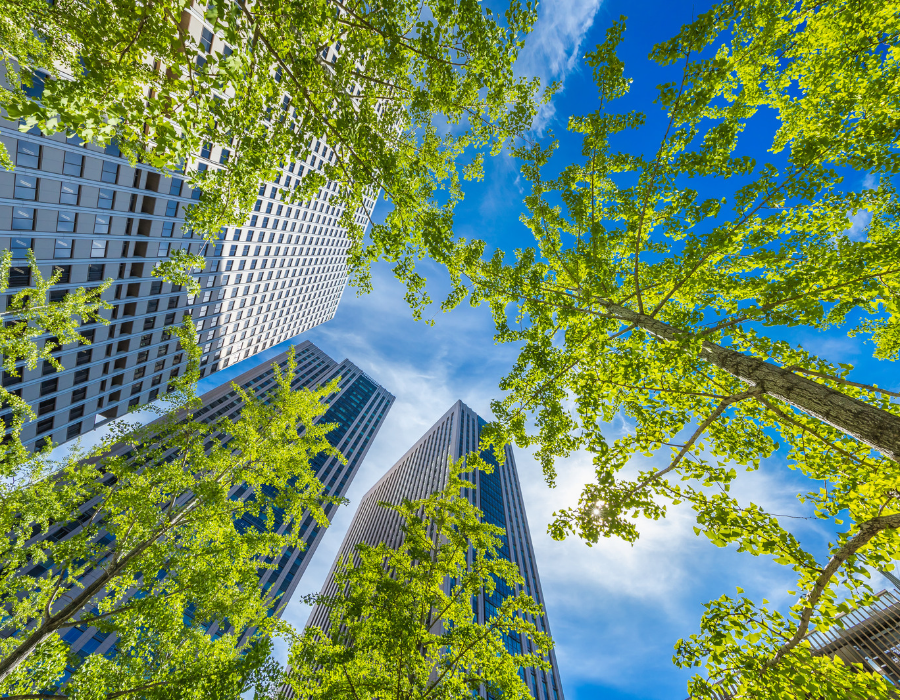 Featured image for BioAgora to organise online workshop on incentivising private sector engagement in global biodiversity mechanisms