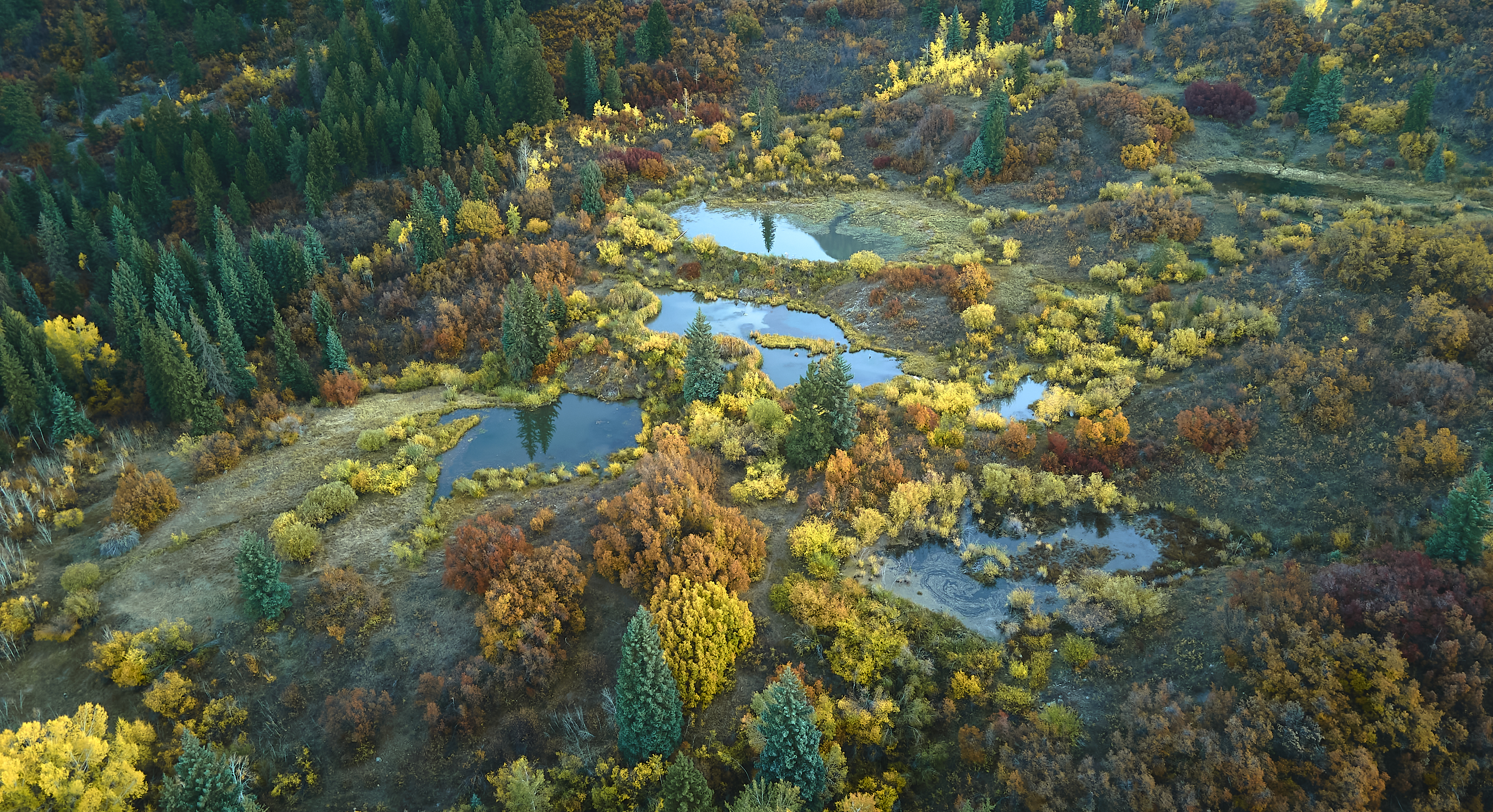 Additional image for Scenarios and modelling Knowledge Exchange Network