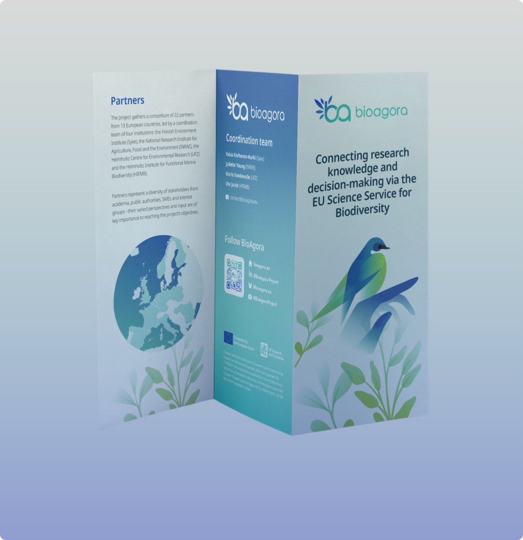 Preview image for Brochure promotional material