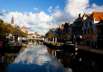 Featured image for news article: A highlight article on the Handbook of Tools for Informing and Monitoring Urban Greening Strategies and Nature Plans by the University of Leiden