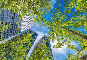 Featured image for news article: BioAgora to organise online workshop on incentivising private sector engagement in global biodiversity mechanisms