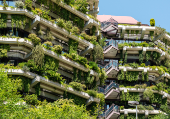 Featured image for news article: Report on green roofs and walls facilitated by BioAgora highlighted by Grist media outlet