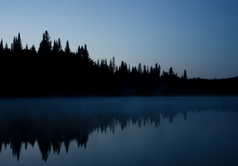 Featured image for news article: Life after dark: The night shift of nature discussed in paper co-authored by BioAgora