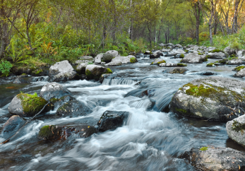 Featured image for news article: BioAgora’s contribution to the freshwater science-policy interface highlighted in new paper