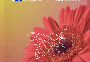 Featured image for news article: New workshop report outlines pathways for restoring pollinator connectivity across Europe
