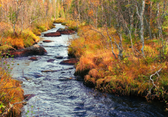 Featured image for news article: Call for nominating members of the Methods Expert Group by BioAgora partner Eklipse