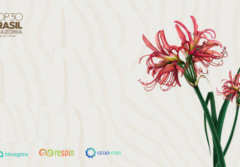 Featured image for news article: BioAgora Co-organises a Side Event at UNFCCC COP30: Strengthening the Science-Policy Interface for Biodiversity and Climate