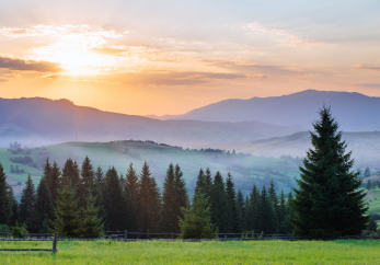 Featured image for news article: BioAgora releases highlights video for 2025