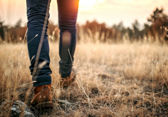 Featured image for news article: BioAgora Call for Experts to support the development of the EU Long-term Biodiversity Research Agenda