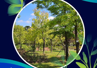 Featured image for news article: New Handbook and Tool Recommender Support Europe’s Cities in Planning and Monitoring Urban Greening Strategies