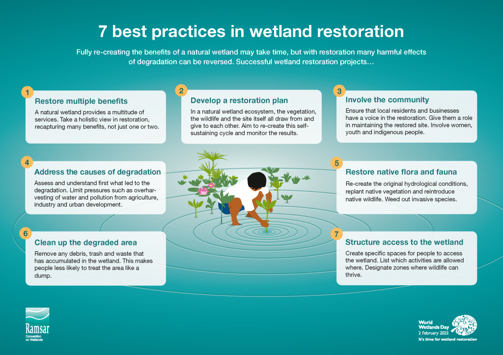 7 best practices in wetlands restoration