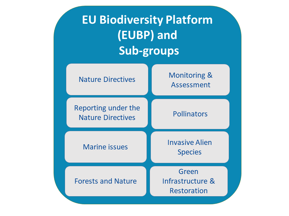 Subgroups of the EUBP