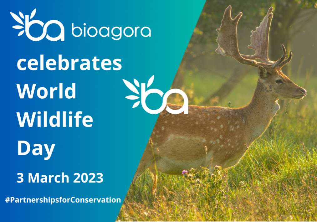 celebrates World Wildlife Day